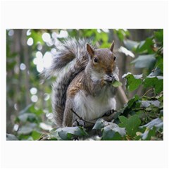 Gray Squirrel Eating Sycamore Seed Large Glasses Cloth (2-side) by GiftsbyNature