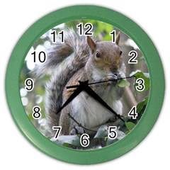 Gray Squirrel Eating Sycamore Seed Color Wall Clocks by GiftsbyNature