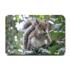 Gray Squirrel Eating Sycamore Seed Small Doormat  by GiftsbyNature