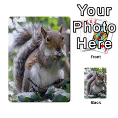 Gray Squirrel Eating Sycamore Seed Multi-purpose Cards (rectangle)  by GiftsbyNature