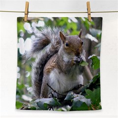 Gray Squirrel Eating Sycamore Seed Face Towel