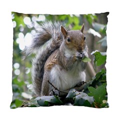 Gray Squirrel Eating Sycamore Seed Standard Cushion Case (two Sides)