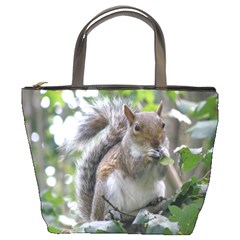 Gray Squirrel Eating Sycamore Seed Bucket Bags by GiftsbyNature