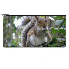 Gray Squirrel Eating Sycamore Seed Pencil Cases