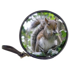 Gray Squirrel Eating Sycamore Seed Classic 20-cd Wallets by GiftsbyNature