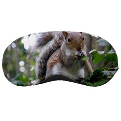 Gray Squirrel Eating Sycamore Seed Sleeping Masks