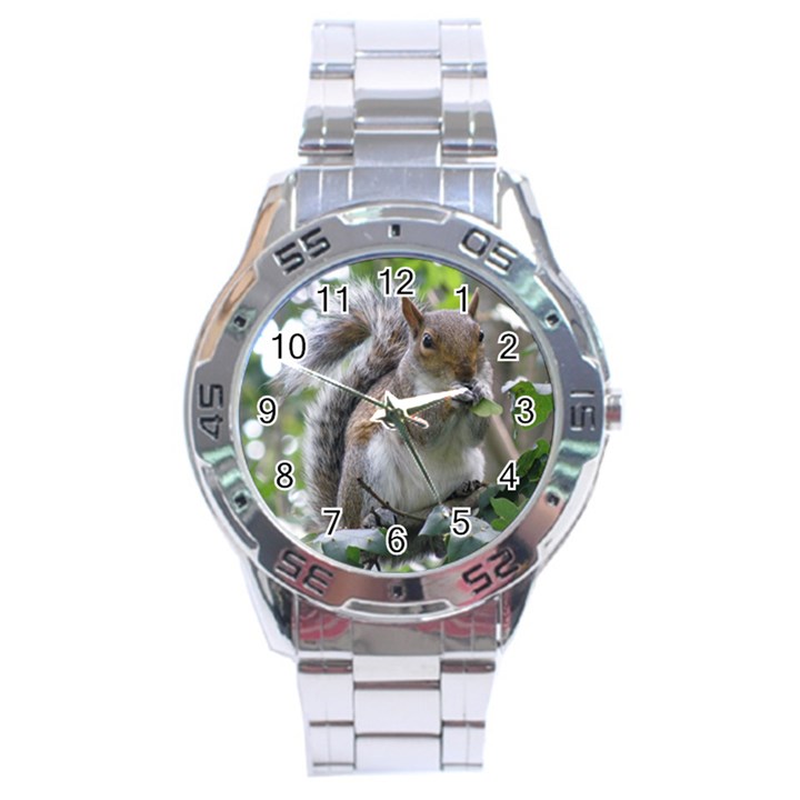 Gray Squirrel Eating Sycamore Seed Stainless Steel Analogue Watch