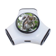 Gray Squirrel Eating Sycamore Seed 3-port Usb Hub by GiftsbyNature