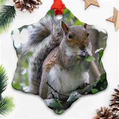 Gray Squirrel Eating Sycamore Seed Ornament (snowflake)  by GiftsbyNature