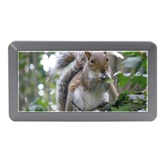 Gray Squirrel Eating Sycamore Seed Memory Card Reader (mini) by GiftsbyNature