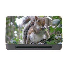 Gray Squirrel Eating Sycamore Seed Memory Card Reader With Cf