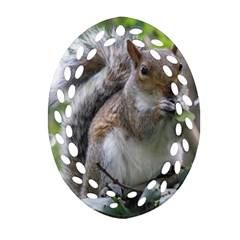 Gray Squirrel Eating Sycamore Seed Oval Filigree Ornament (2-side)  by GiftsbyNature