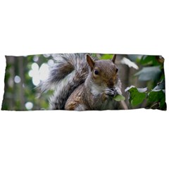 Gray Squirrel Eating Sycamore Seed Body Pillow Case (dakimakura) by GiftsbyNature