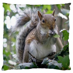 Gray Squirrel Eating Sycamore Seed Large Cushion Case (one Side)