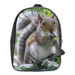 Gray Squirrel Eating Sycamore Seed School Bags (xl) 