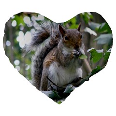 Gray Squirrel Eating Sycamore Seed Large 19  Premium Heart Shape Cushions