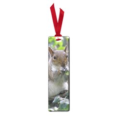 Gray Squirrel Eating Sycamore Seed Small Book Marks by GiftsbyNature