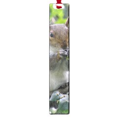 Gray Squirrel Eating Sycamore Seed Large Book Marks by GiftsbyNature