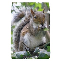 Gray Squirrel Eating Sycamore Seed Flap Covers (s) 