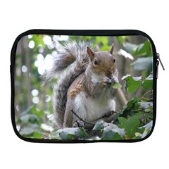 Gray Squirrel Eating Sycamore Seed Apple Ipad 2/3/4 Zipper Cases by GiftsbyNature