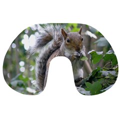 Gray Squirrel Eating Sycamore Seed Travel Neck Pillows