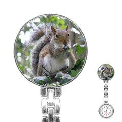 Gray Squirrel Eating Sycamore Seed Stainless Steel Nurses Watch by GiftsbyNature