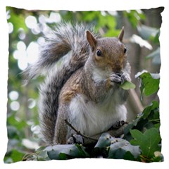 Gray Squirrel Eating Sycamore Seed Large Flano Cushion Case (one Side) by GiftsbyNature