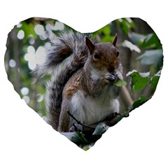 Gray Squirrel Eating Sycamore Seed Large 19  Premium Flano Heart Shape Cushions