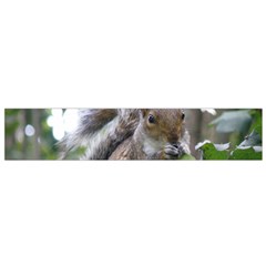 Gray Squirrel Eating Sycamore Seed Flano Scarf (small) by GiftsbyNature