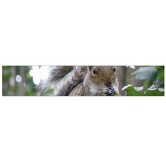 Gray Squirrel Eating Sycamore Seed Flano Scarf (large) by GiftsbyNature