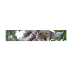 Gray Squirrel Eating Sycamore Seed Flano Scarf (mini) by GiftsbyNature