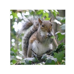 Gray Squirrel Eating Sycamore Seed Small Satin Scarf (square) by GiftsbyNature