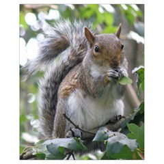 Gray Squirrel Eating Sycamore Seed Drawstring Bag (small) by GiftsbyNature