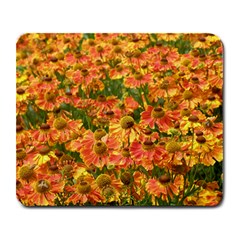 Helenium Flowers And Bees Large Mousepads by GiftsbyNature