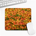 Helenium Flowers and Bees Large Mousepads Front