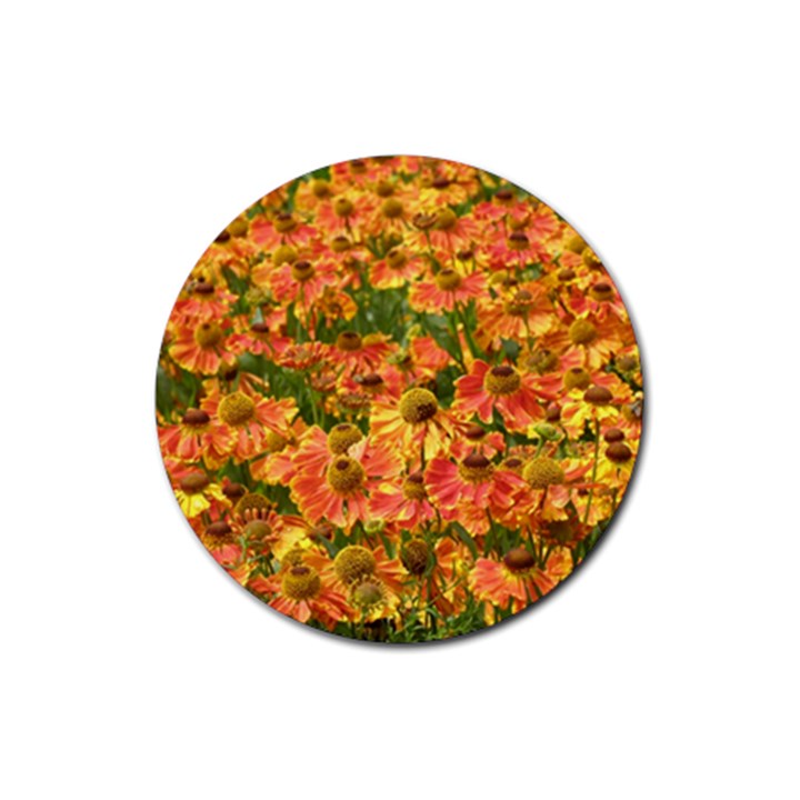 Helenium Flowers and Bees Rubber Coaster (Round) 