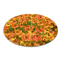 Helenium Flowers And Bees Oval Magnet by GiftsbyNature