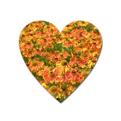 Helenium Flowers And Bees Heart Magnet by GiftsbyNature