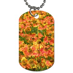 Helenium Flowers And Bees Dog Tag (two Sides) by GiftsbyNature