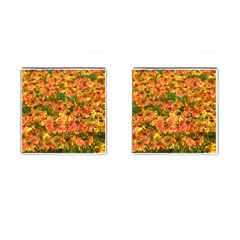 Helenium Flowers And Bees Cufflinks (square)