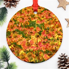 Helenium Flowers And Bees Round Ornament (two Sides)  by GiftsbyNature