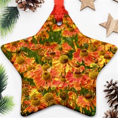 Helenium Flowers And Bees Star Ornament (two Sides)  by GiftsbyNature