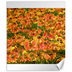 Helenium Flowers And Bees Canvas 8  X 10 