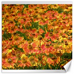 Helenium Flowers And Bees Canvas 20  X 20  