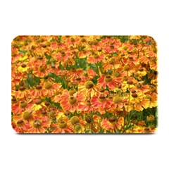 Helenium Flowers And Bees Plate Mats by GiftsbyNature