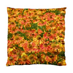 Helenium Flowers And Bees Standard Cushion Case (one Side) by GiftsbyNature