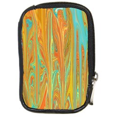 Beautiful Abstract In Orange, Aqua, Gold Compact Camera Cases by digitaldivadesigns