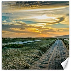 Jericoacoara National Park Dunes Road Canvas 20  X 20   by dflcprints