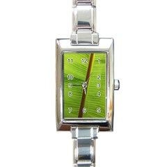 Ensete Leaf Rectangle Italian Charm Watch by picsaspassion