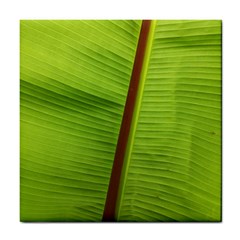 Ensete Leaf Tile Coasters